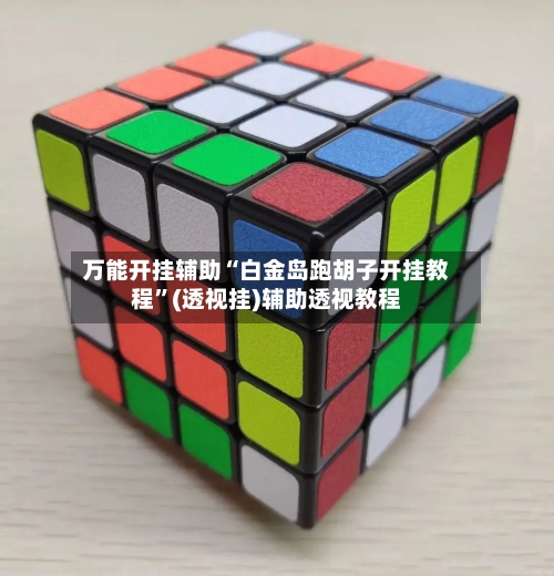 万能开挂辅助“白金岛跑胡子开挂教程”(透视挂)辅助透视教程-第2张图片