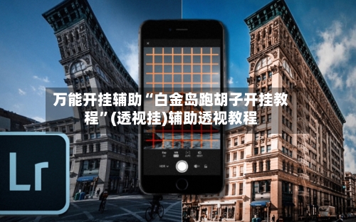 万能开挂辅助“白金岛跑胡子开挂教程”(透视挂)辅助透视教程