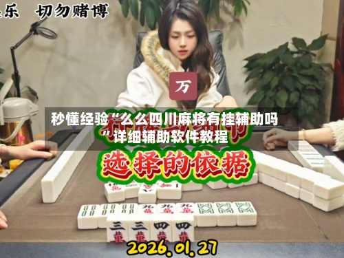 秒懂经验“么么四川麻将有挂辅助吗	”详细辅助软件教程-第2张图片