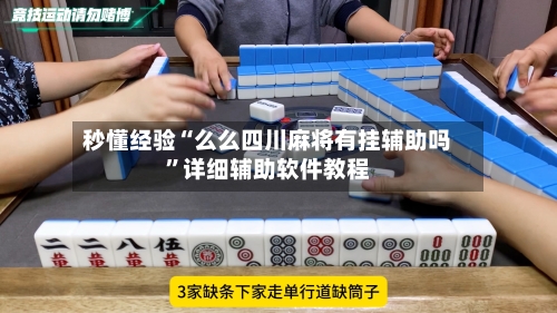 秒懂经验“么么四川麻将有挂辅助吗”详细辅助软件教程-第3张图片
